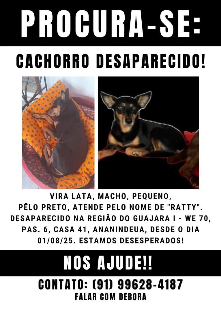 Família busca por cachorro desaparecido em Ananindeua. Ajude!