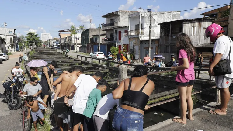 A cobra chamou a atenção de moradores da Pedreira.