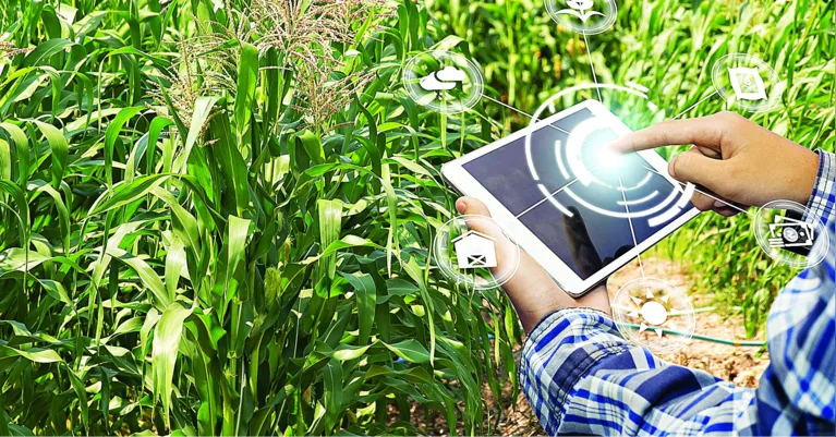 A utilização da nuvem facilita o uso de tecnologias sustentáveis em setores como a agricultura.