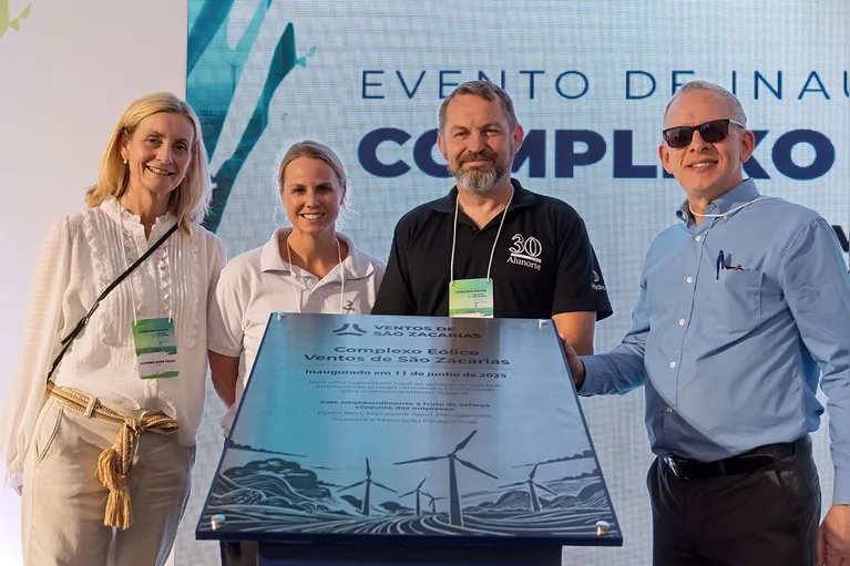 Hydro impulsiona transição energética com complexo eólico