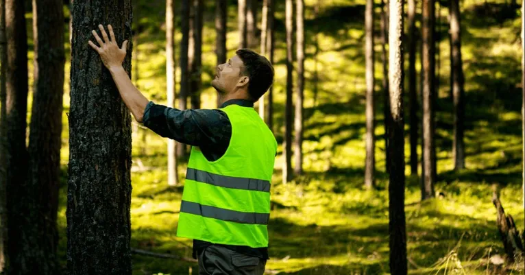 Manejo florestal sustentável preserva a floresta e movimenta a economia no Pará