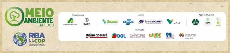 Estudantes aprendem sobre meio ambiente na prática