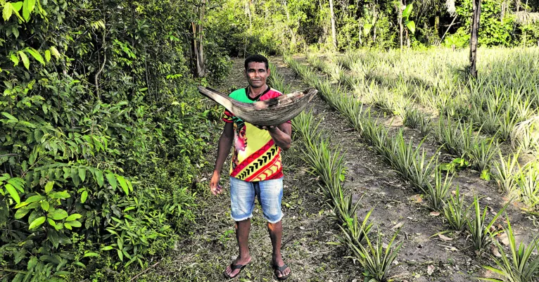 A história da comunidade quilombola do Rosário