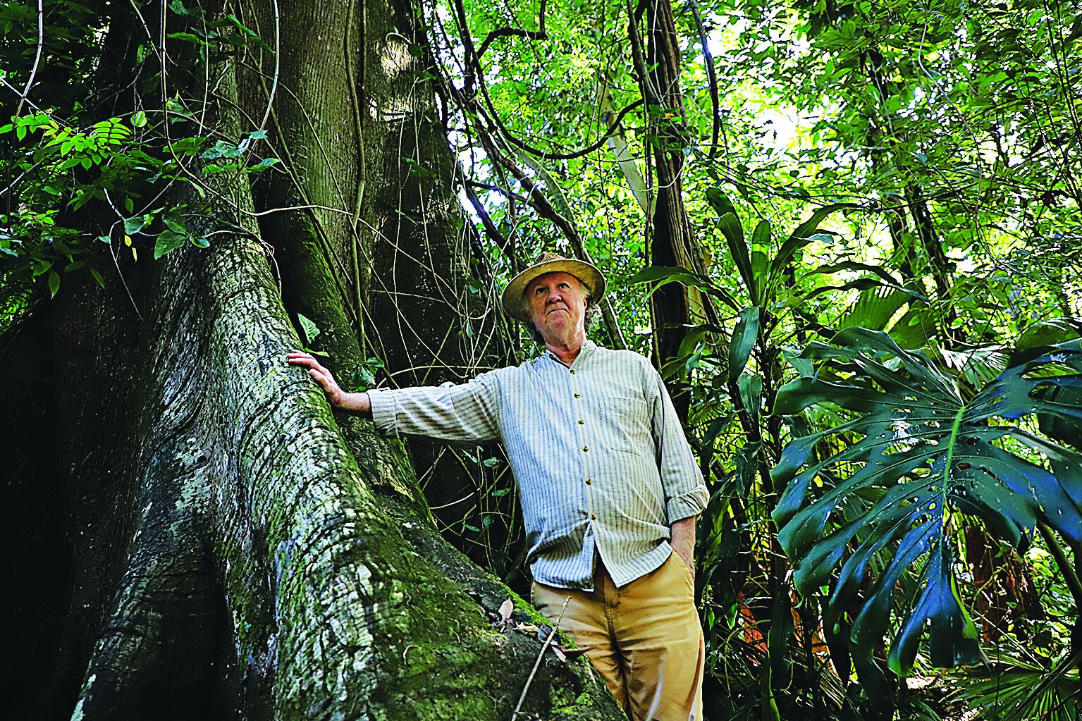 Nilson Gabas, diretor do museu Goeldi