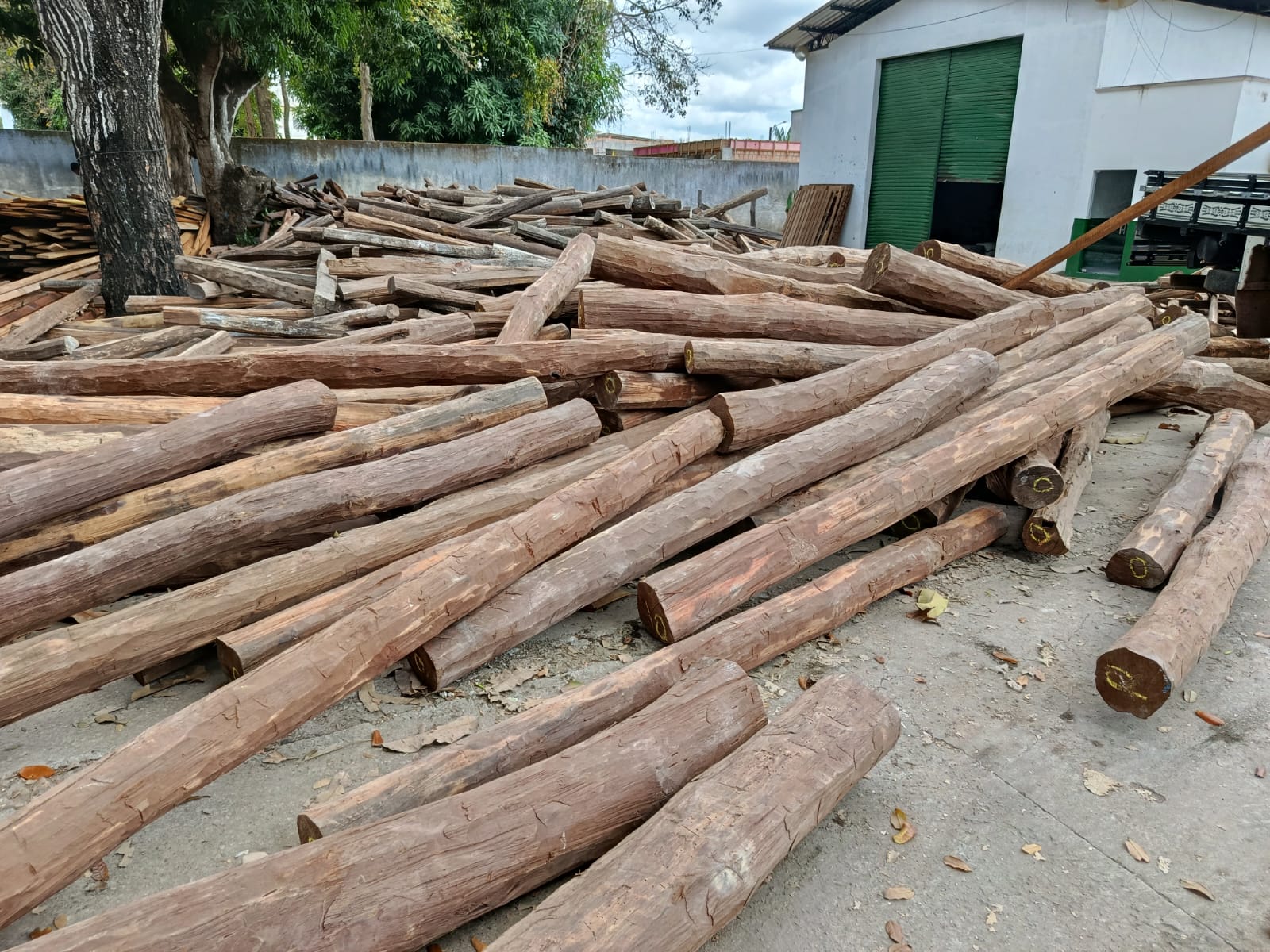 A iniciativa contribui para o desenvolvimento econômico da região, impulsionando cadeias produtivas .