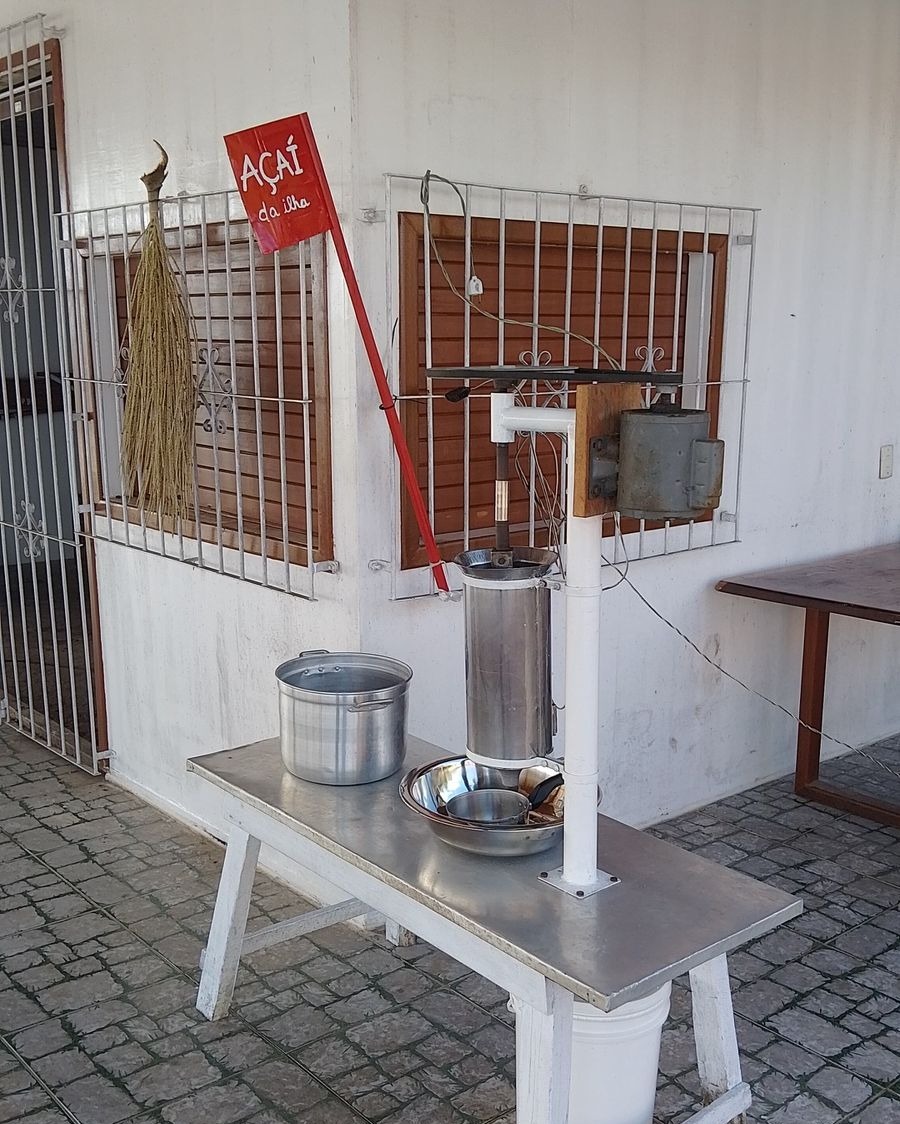 Os visitantes poderão aprender sobre o processo de colheita e produção do açaí