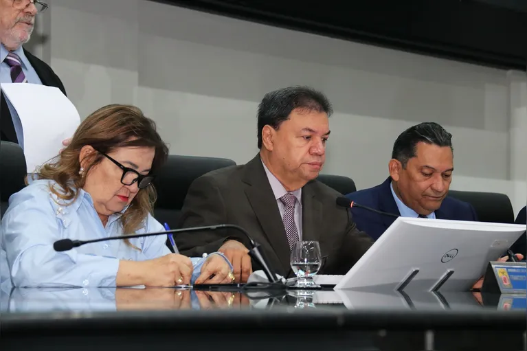 Comissões expõem relatório sobre implantação de aterros sanitários no Pará