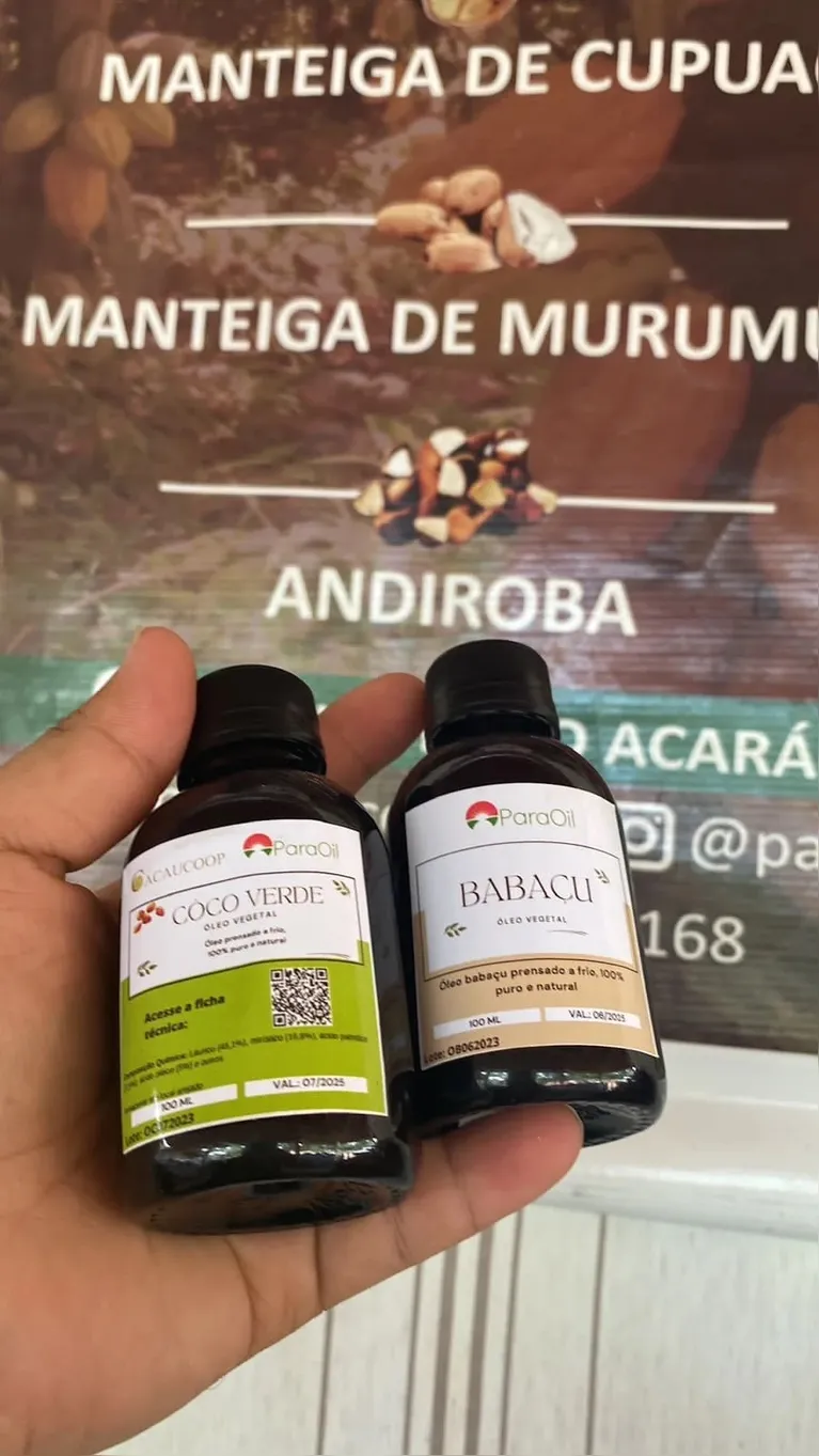 Segundo o mapeamento, existem ao menos 204 startups de bioeconomia na Amazônia legal
