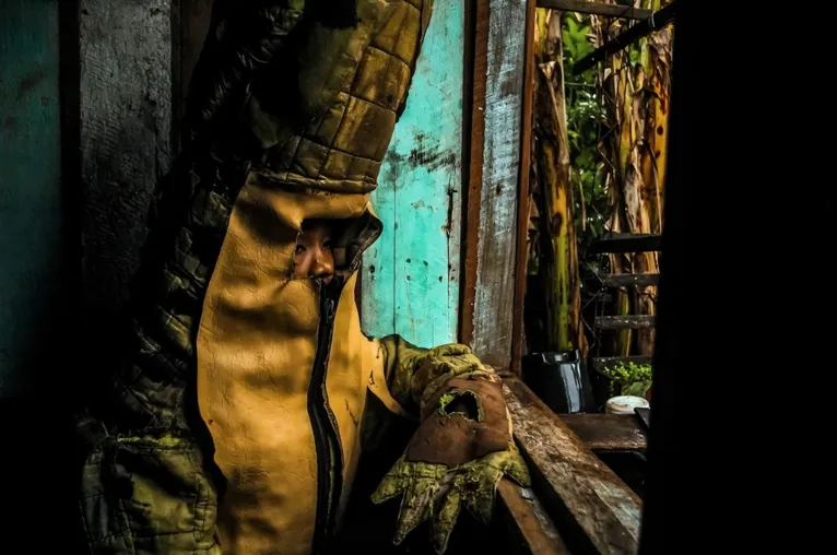Exposição paraense exibe a Amazônia na ArtRio