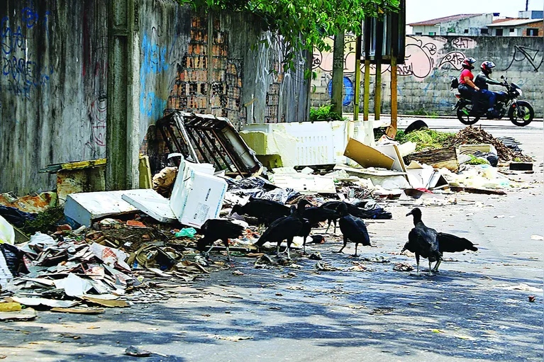 Na última sexta-feira (5), o DIÁRIO percorreu diversos bairros e constatou o estado de completo descaso