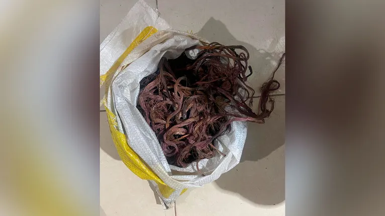 Cobre, fiação e outros itens elétricos foram encontrados no ferro velho