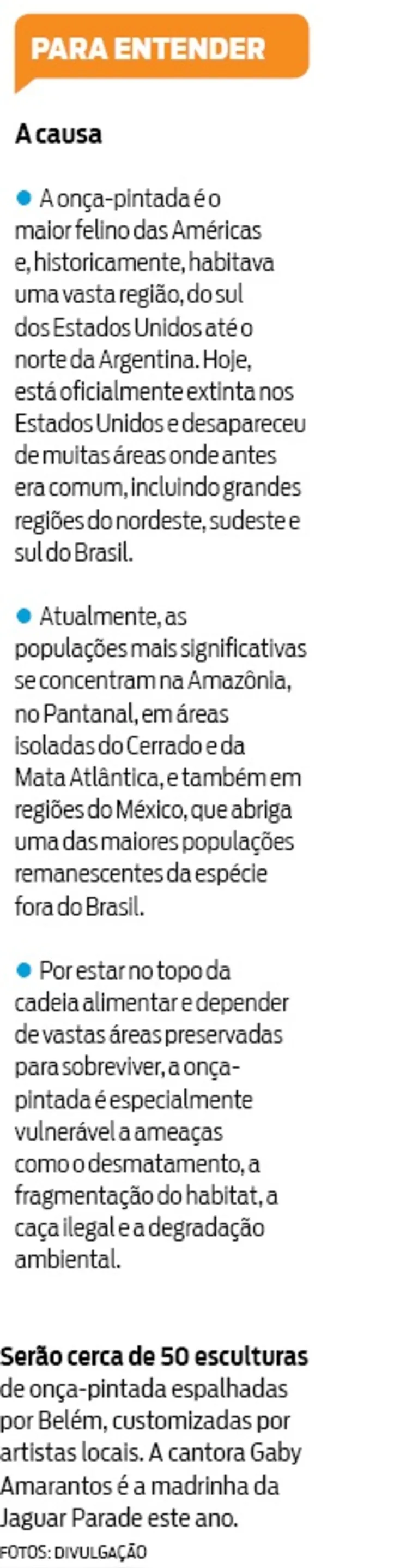 Jaguar Parade tomará as ruas de Belém com mostra urbana
