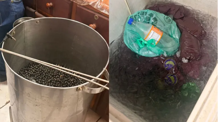 MPPA atua como fiscal da lei, acompanhando as ações da Vigilância Sanitária, orientando medidas e articulando instituições para garantir o cumprimento das normas e a proteção da saúde da população.