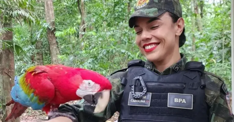 Aumento das aparições de animais silvestres em áreas urbanas de Belém está associado ao período de chuvas intensas e à proximidade com áreas de vegetação e canais.