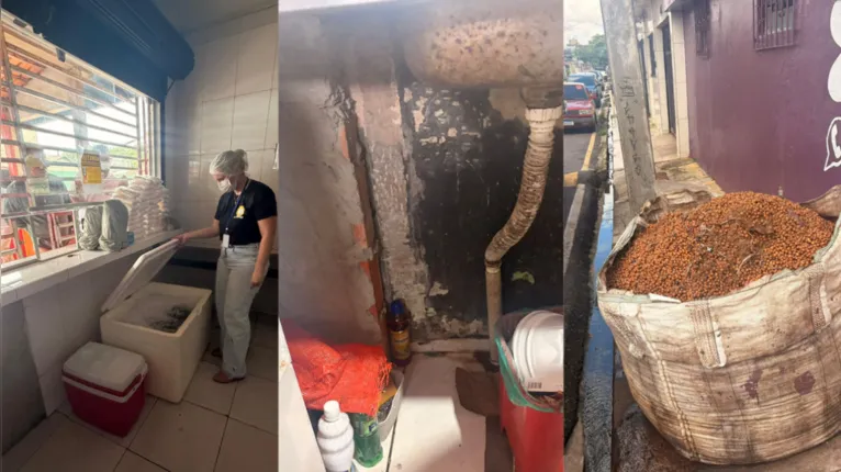 Irregularidades como falta de licença sanitária, ausência do branqueamento do fruto e descumprimento de normas de higiene motivaram interdições durante fiscalização em pontos de venda de açaí em Ananindeua.