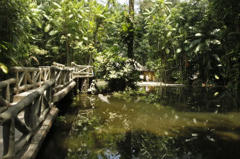 Bosque Rodrigues Alves preserva relação de Belém com a floresta