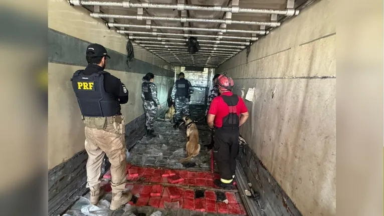 Foram encontradas 859 tabletes de substância análoga a maconha e skunk