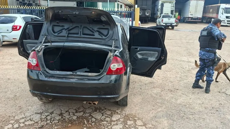 Cão farejador inspecionou o veiculo