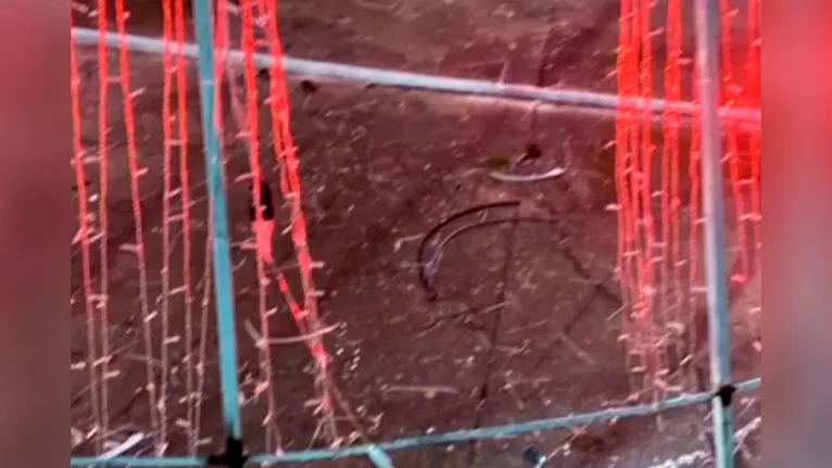 Fiação da árvore de Natal parcialmente destruída e retirada