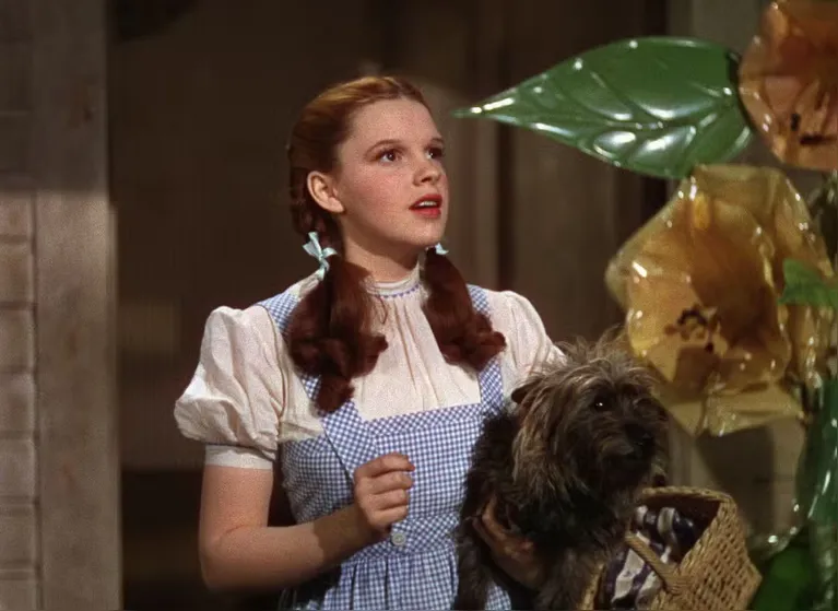 Descubra os 15 melhores filmes baseados em livros clássicos