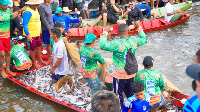 Os primeiros maparás da temporada em Cametá anunciam fartura e renovam a tradição das comunidades ribeirinhas.