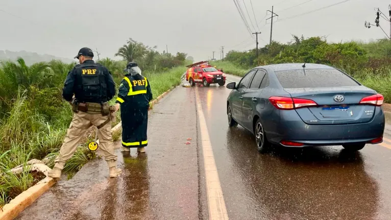 Pajero preta ficou destruída após descer ribanceira de 10 metros e avançar pela vegetação às margens da BR-230.