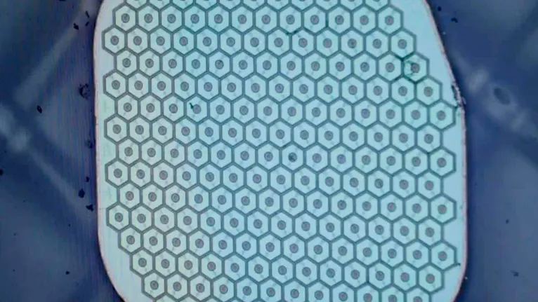 Science Corp. desenvolveu chip cerebral menos invasivo do que o chip da Neuralink