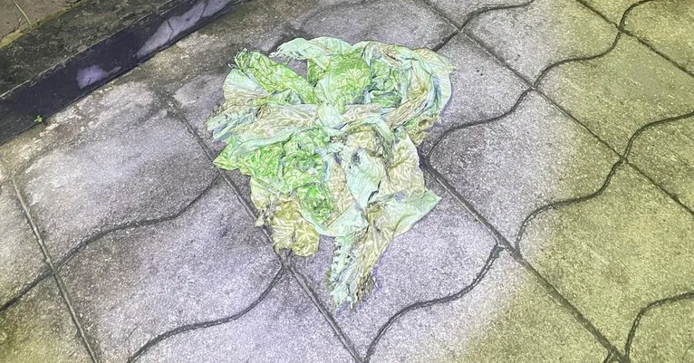 Vestido que seria usado pela vítima