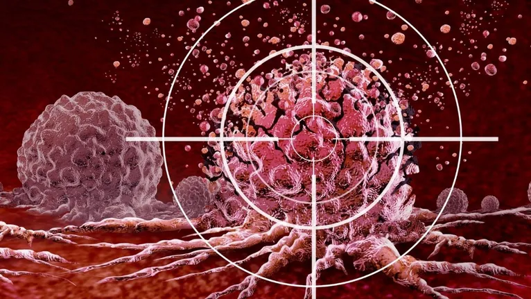 O desenvolvimento desses imunizantes pegou carona em tecnologias consolidadas durante a pandemia de Covid-19.