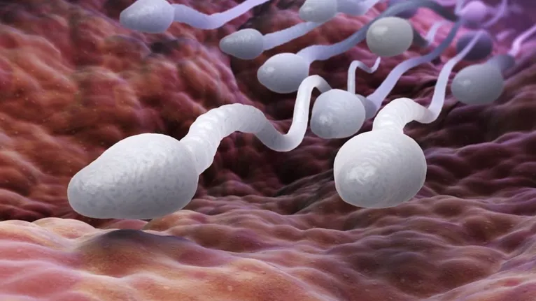 Protótipo do anticoncepcional granulado efervescente que promete inibir a fertilidade masculina de forma temporária.