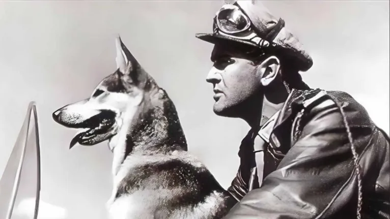 Relembre famosos que faleceram em 2025: Preta Gil, Arlindo Cruz e mais