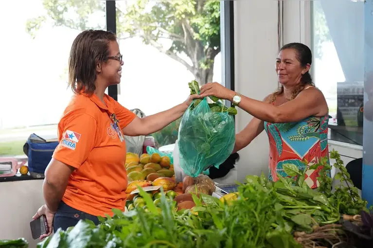 Um dos dados mais expressivos está no Programa de Aquisição de Alimentos (PAA).