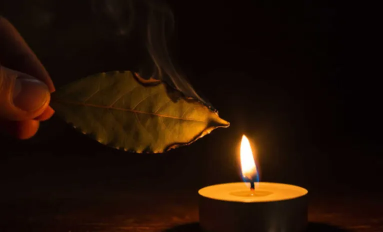 Queimar folhas de louro tem sido visto como um ritual de autocuidado