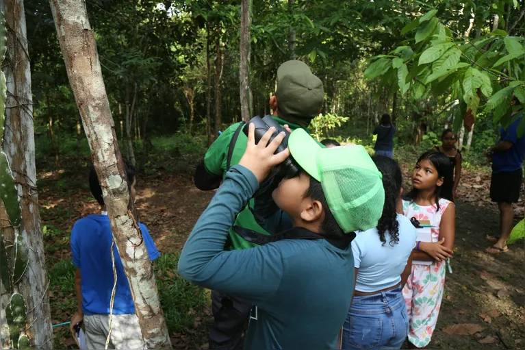 Observação de pássaros: educação e contato com a natureza