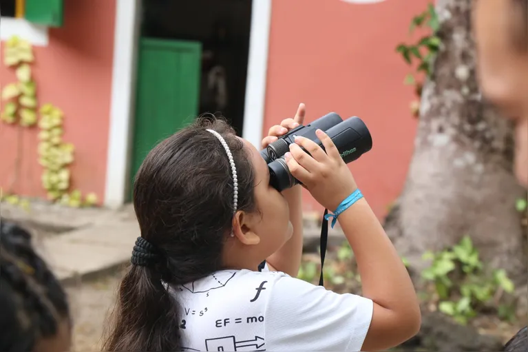 Encantamento diante da vida livre guia meninos e meninos na aprendizagem sobre as aves