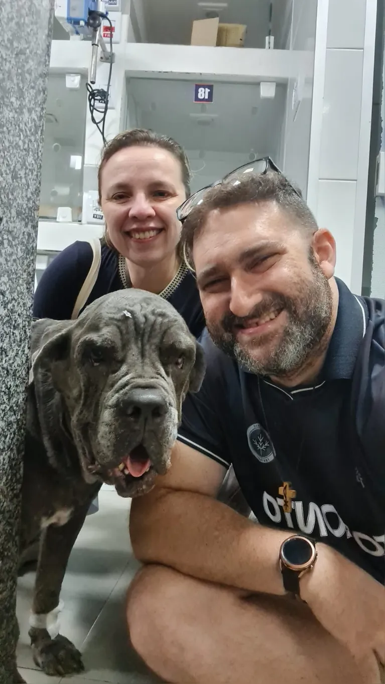 Os tutores pedem ajuda para realizar o tratamento contra câncer