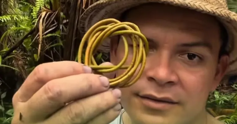 Apanhadores de açaí relatam encontro com o ‘Curupira’ na mata do Marajó