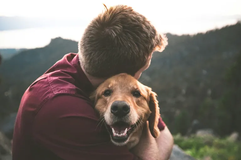 Estudo revela como cães e gatos afetam o estresse dos donos