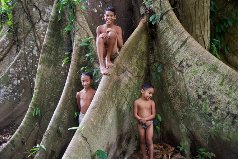 Ação fortalece recuperação ambiental na Ilha de Cotijuba