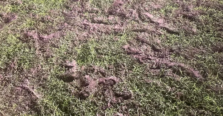Gramado terminou neste estado após a partida contra o Botafogo-PB