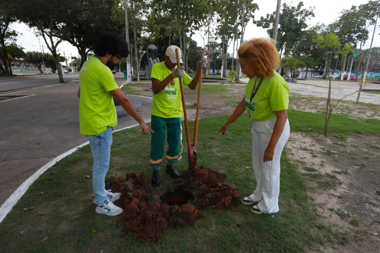 Belém lança maior Jardim de Chuva para combater alagamentos; veja
