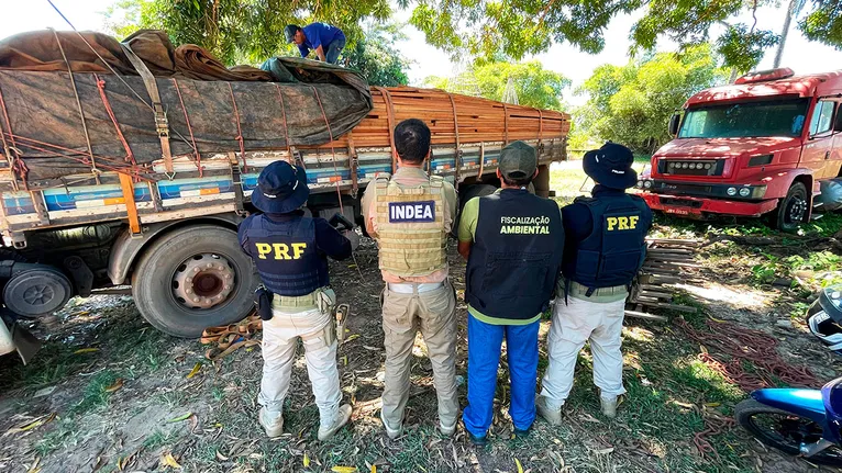 A dinâmica que uniu a capacitação técnica às abordagens de campo resultou na execução de 24 comandos de enfrentamento aos crimes ambientais.