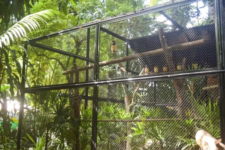 Férias: conectar crianças à natureza é alternativa de lazer