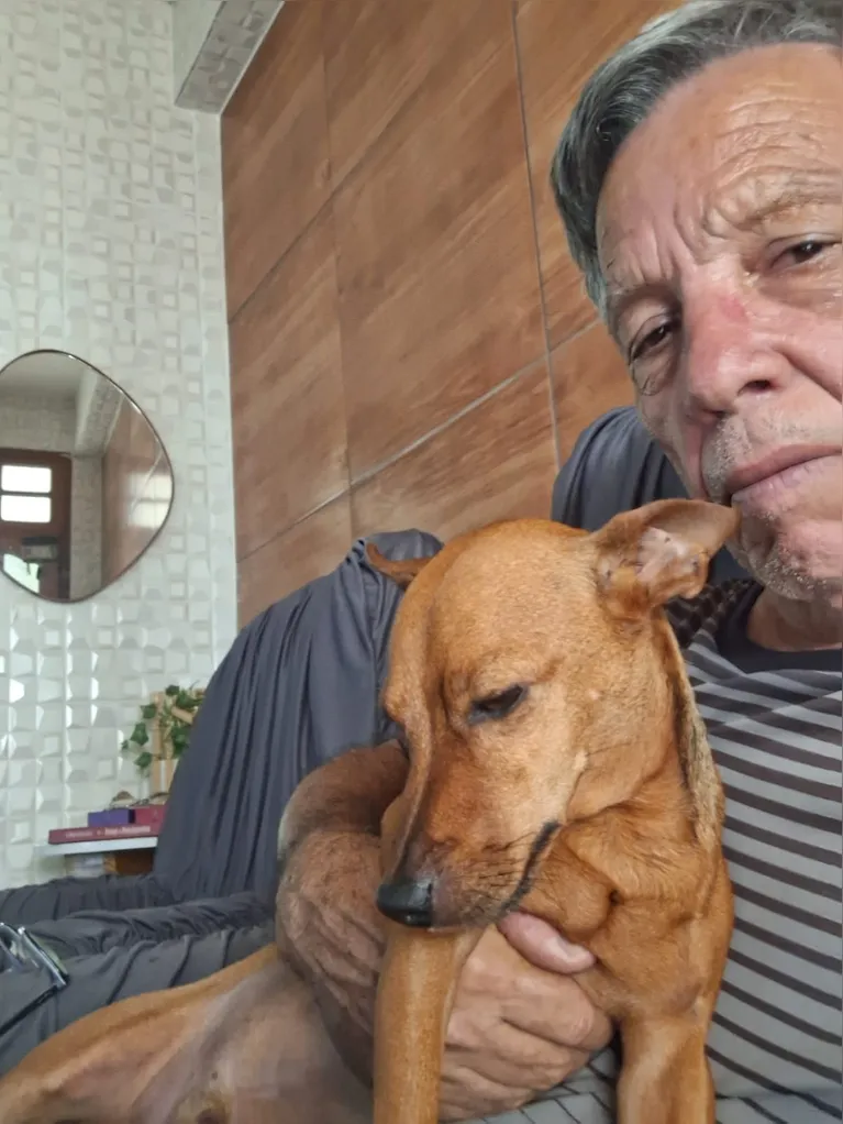 Apesar dos gastos, João não tem dúvidas de que o investimento vale a pena