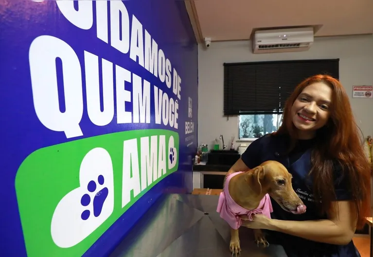 Outro cuidado fundamental é evitar a exposição dos animais ao sol nos horários mais quentes do dia