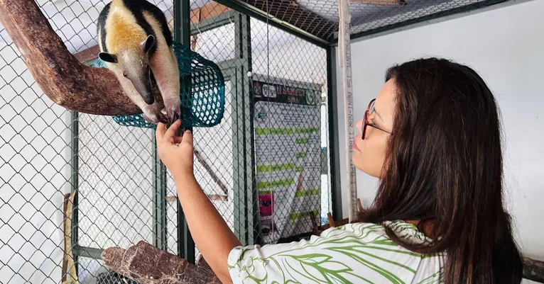 Seminário na Ufra discute proteção e manejo da fauna silvestre