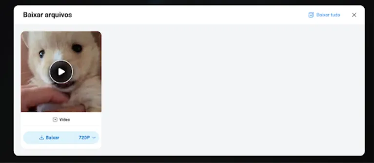 Como baixar GIFs do Twitter de forma rápida e fácil