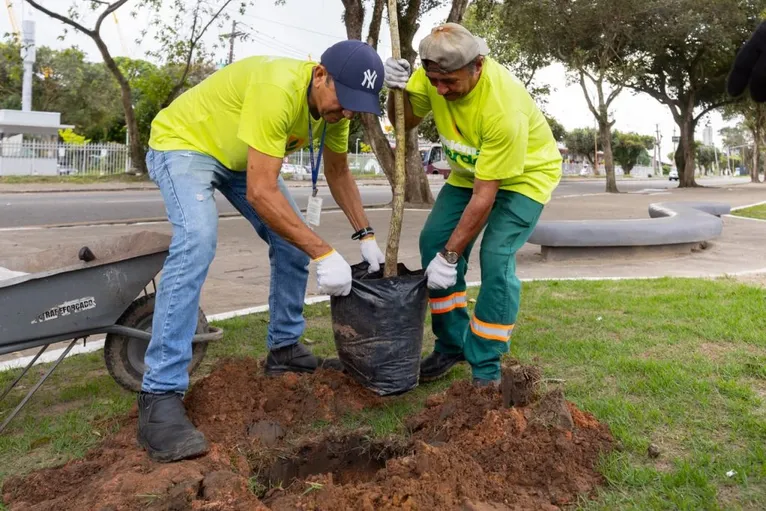 Belém lança maior Jardim de Chuva para combater alagamentos; veja