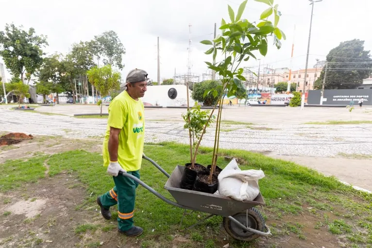 Belém lança maior Jardim de Chuva para combater alagamentos; veja
