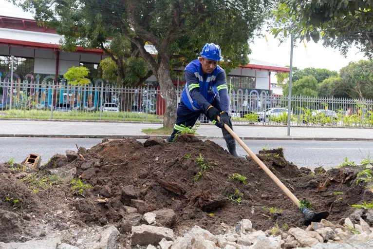 Belém lança maior Jardim de Chuva para combater alagamentos; veja
